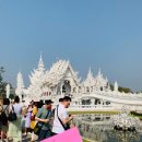 블랙하우스 | 태국 치앙마이여행 치앙라이 일일투어 화이트템플 블루템플 블랙하우스 내돈내산 후기