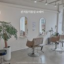 관저동미용실 로헤어 카키브라운 염색 후기