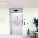 모담유치원 이미지