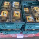 함라마트 이미지