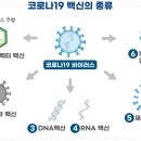 코로나 백신의 기적 ~~ 이미지