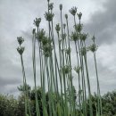 일우민박 이미지