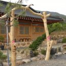 뚤방민박