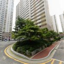 사파동203 이미지