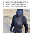 척추가 중심 이미지