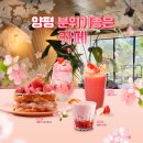분위기 좋은 양평 카페 살롱드본