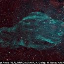 우주의 바다소…매너티 닮은 우주 구름 포착 이미지