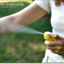 플로데오로 네이버블로그