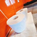 가평아름마루독채애견펜션 이미지