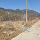 비봉산농장 이미지