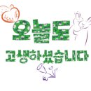 한홀초등학교 이미지