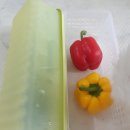 스마트프레쉬 | 락앤락 스마트킵 프레쉬 사용후기 오이보관 진짜 오래가네요~