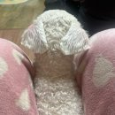 오암 | 2026년 3월