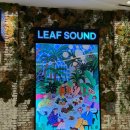 스타필드하남(28488) (옥외1) | [하남스타필드 카페 추천] 초록초록 자연 속에 들어와있는 느낌이 드는 조용한 분위기 힐링 브런치 카페...