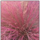 연천 미라클타운 이미지