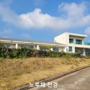 노루채 티스토리