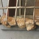 꿈나라 - 성남시 중원구 산성대로 526 | 꿈나라