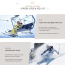 알프스마트B | 엘리시안 강촌 스키장 (무료 셔틀 버스 운영 ,심야 리프트권 할인, 지하철 ITX청춘)