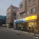 캐롤플라워 이미지