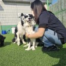 멜로멍스 이미지