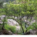 산내들낚시터 이미지