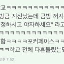 야자나라 이미지