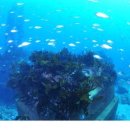 화수분㈜ 이미지