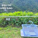 영월아프리카미술박물관&에이미캠핑장 이미지