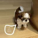 23년 8월 일상_1년 중 가장 특별한 달💫