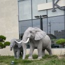 키린느건물 이미지