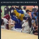 블레오 틈새시장 미쳤네 채이 환심 사기 이미지