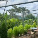 중앙교회 앞(대공원길) 이미지