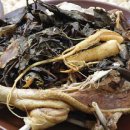 한방한재골하얀집 이미지