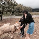 발산목장 이미지