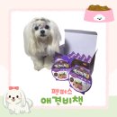 한그릇뚝딱 | 강아지화식 펫퍼스 애견비책 양고기 추천 한그릇 뚝딱 후기