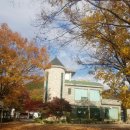 수리골 Daum카페