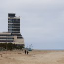 행복행정사 이미지