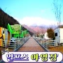 부산 아이와 캠핑 등억 알프스 야영장 카라반 이용후기