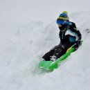 LH홍보관 맞은편 이미지