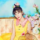 올라오니 이미지