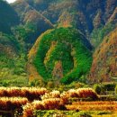 신곡농장 이미지