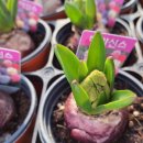 호림농장 이미지