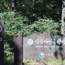국립산음자연휴양림 이미지