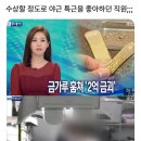 태산겔러리 이미지