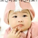 서당개 스튜디오 네이버블로그