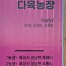 샤론다육 이미지