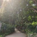 용봉약수터 이미지