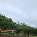 늘숲 - 남구 삼산로278번길 14 | 늘숲
