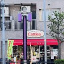 [일본 도쿄 한 달 살기] #46. 카레빵 원조 맛집 카토레아. Cattlea. 빵집 추천. 빵지순례. 써니사이드업...