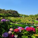 코리아플라워파크 이미지